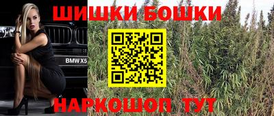 крисы Ливны