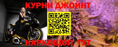 крисы Ливны