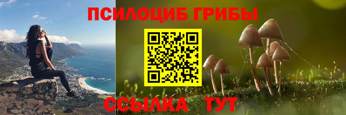 Псилоцибиновые грибы ЛСД Бердск
